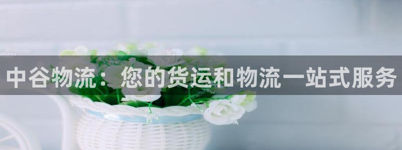 28圈模拟：中谷物流：您的货运和物流