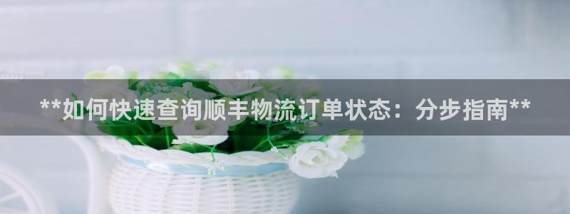 28圈能赢钱吗：**如何快速查询顺丰