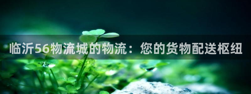 28圈是正规平台吗：临沂56物流城的