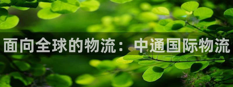 28圈反水怎么算：面向全球的物流：中