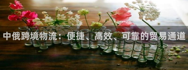 28圈充值方式