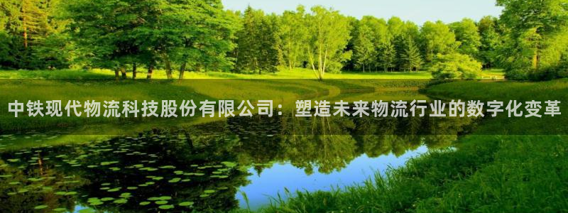 28圈官方版网站：中铁现代物流科技股