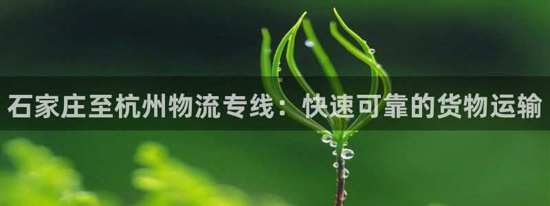 28圈电子