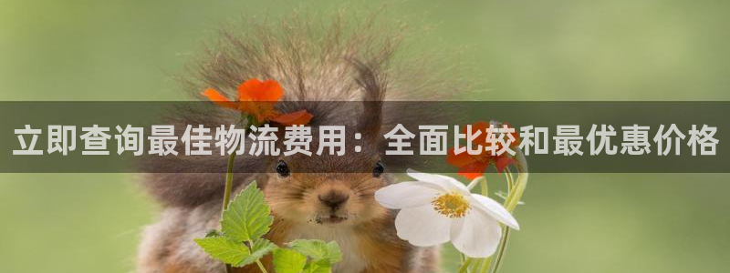 28圈大舞台：立即查询最佳物流费用：