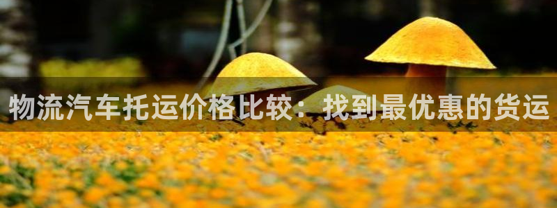 28圈模拟器：物流汽车托运价格比较：