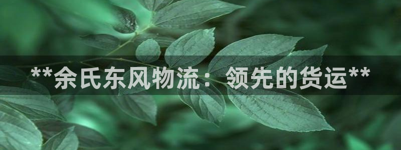 28圈系统自动保护：**余氏东风物流