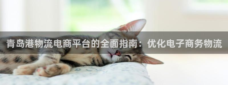 28圈充值不处理怎么办：青岛港物流电