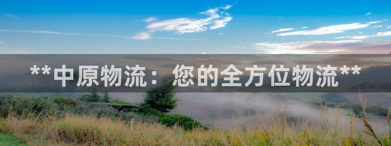 28圈注册入口与教程：**中原物流：