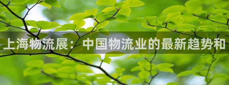 28圈注册登录链接流程：上海物流展：