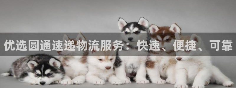 28圈.ccmpc29官网版下载：优