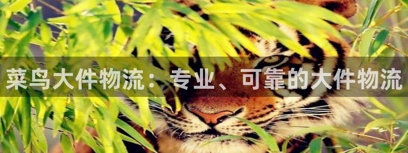 28圈百度百科：菜鸟大件物流：专业、
