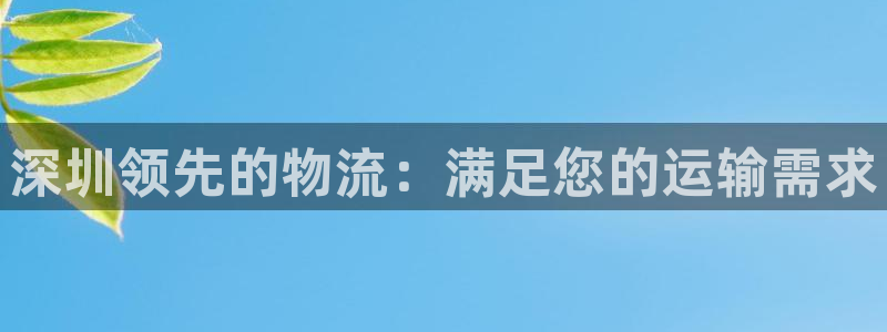 28圈昵称：深圳领先的物流：满足您的
