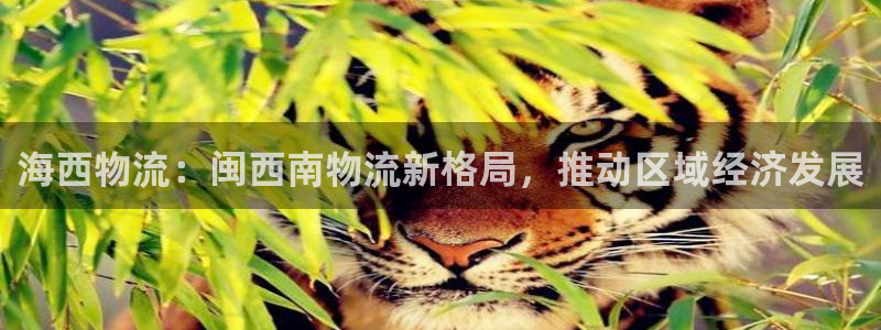 28圈链官网