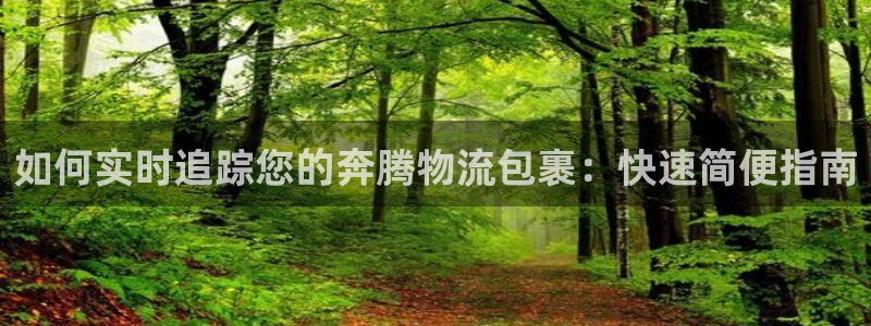 28圈预测网