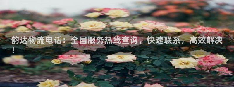 28圈注册登录链接：韵达物流电话：全