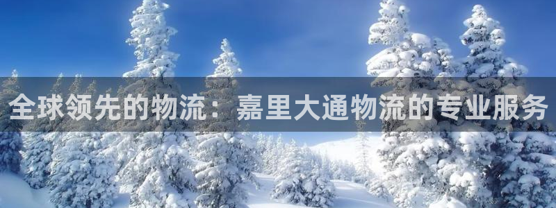 28圈预测：全球领先的物流：嘉里大通