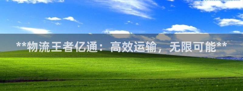 28圈连接：**物流王者亿通：高效运