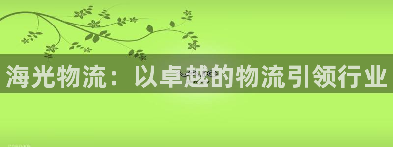 28圈注册用户名是什么：海光物流：以