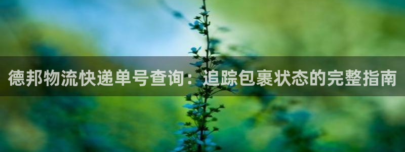 28圈网站怎么注册：德邦物流快递单号
