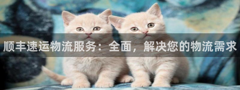28圈提款一直没到