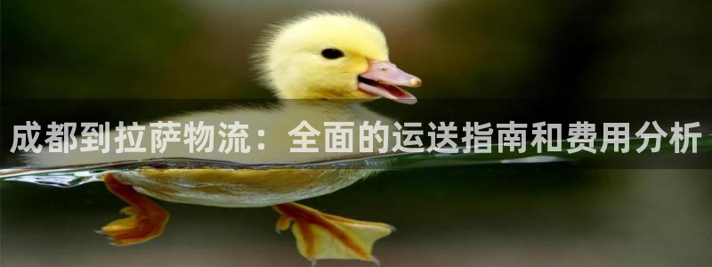28圈选28ng官网：成都到拉萨物流