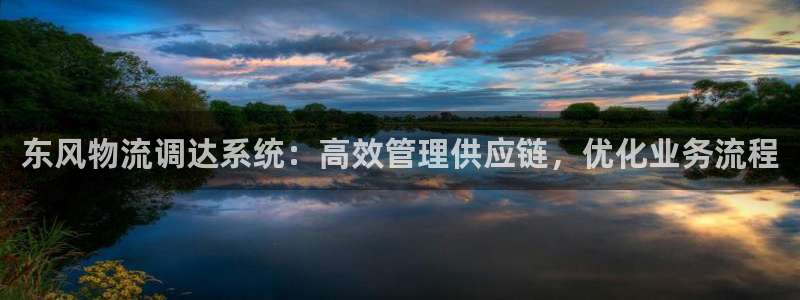 28圈登录用户名登录不上：东风物流调
