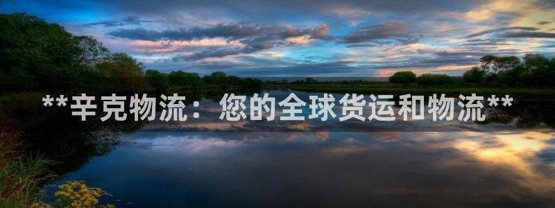 28圈注册上限是啥意思：**辛克物流