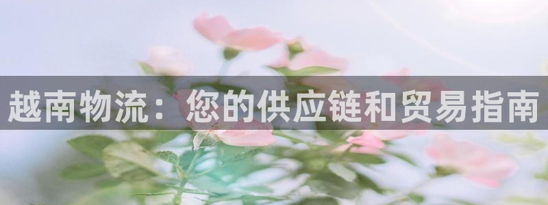 28圈官网开奖结果预测查询：越南物流