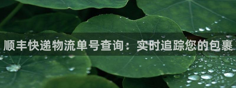 28圈软件是诈骗吗：顺丰快递物流单号