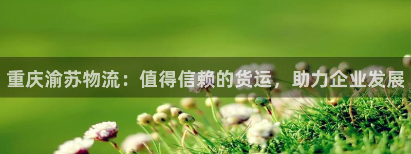 28圈官方版网站