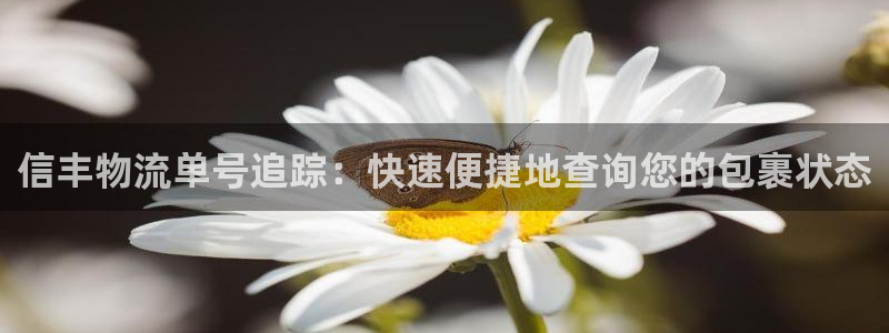 28圈游戏最新版：信丰物流单号追踪：