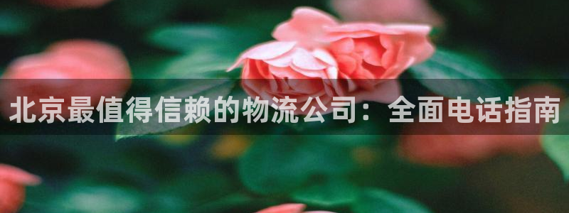28圈注册网站加拿大：北京最值得信赖
