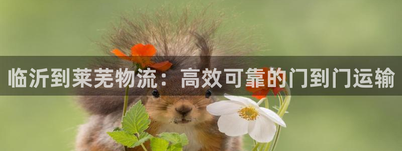 28圈注册限制怎么解除：临沂到莱芜物