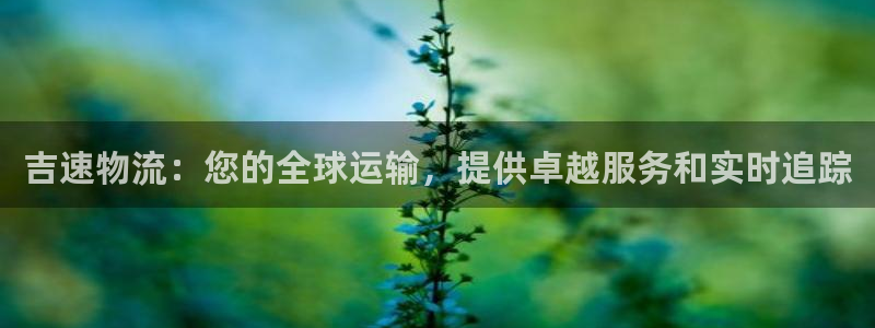 28圈充值：吉速物流：您的全球运输，
