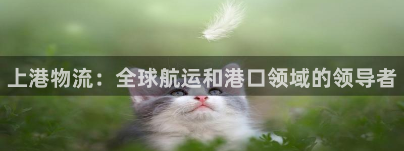 28圈p扣款什么意思：上港物流：全球