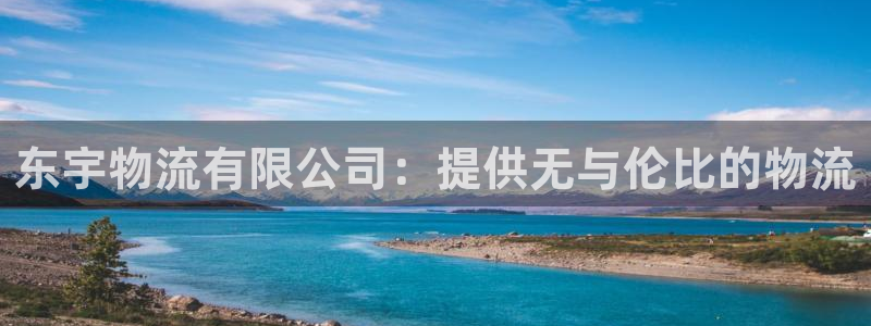 28圈登录网：东宇物流有限公司：提供