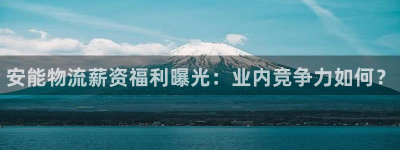 28圈模拟器下载：安能物流薪资福利曝