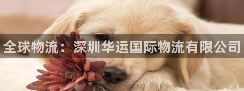 28圈违法吗：全球物流：深圳华运国际