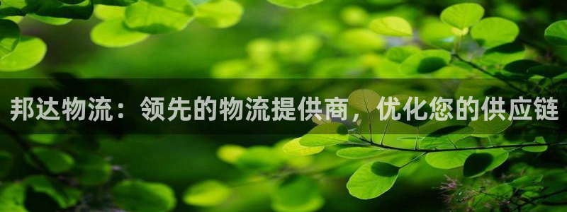 28圈技巧：邦达物流：领先的物流提供