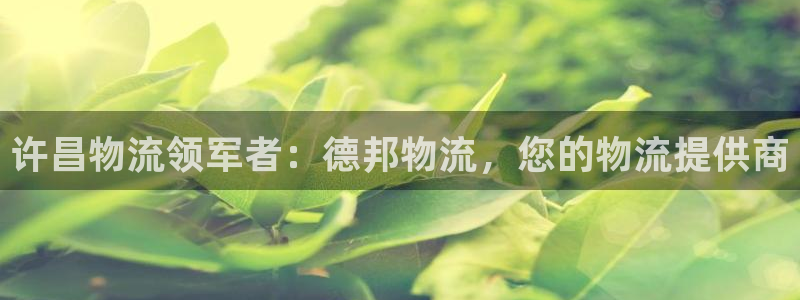 28圈正规吗?：许昌物流领军者：德邦