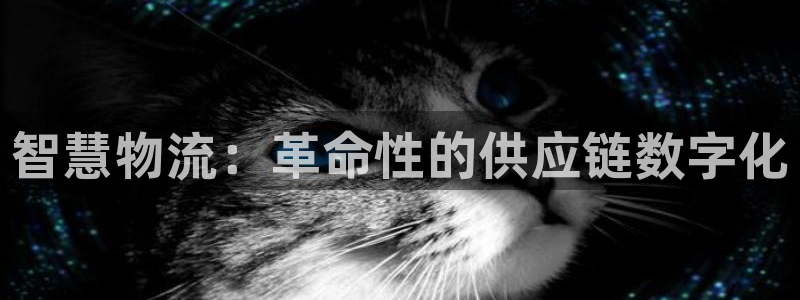 28圈官网多少：智慧物流：革命性的供