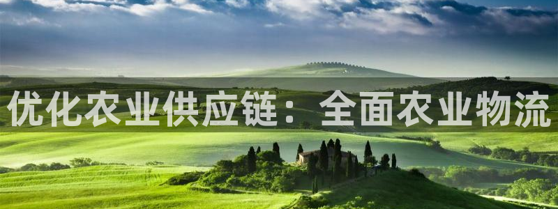 28圈h5链接