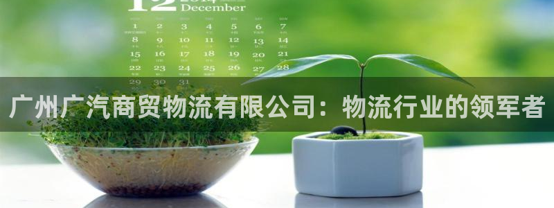 28圈软件是什么：广州广汽商贸物流有