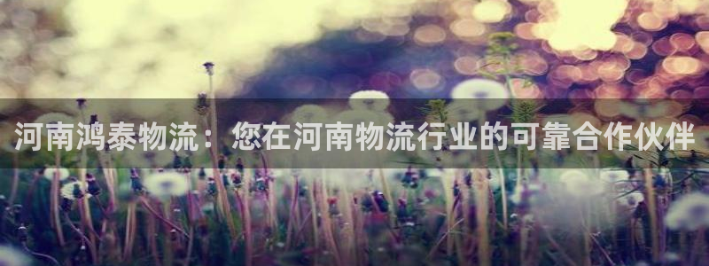 28圈怎么申请代理：河南鸿泰物流：您