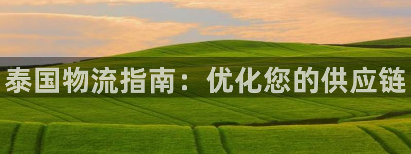 28圈官网预测：泰国物流指南：优化您