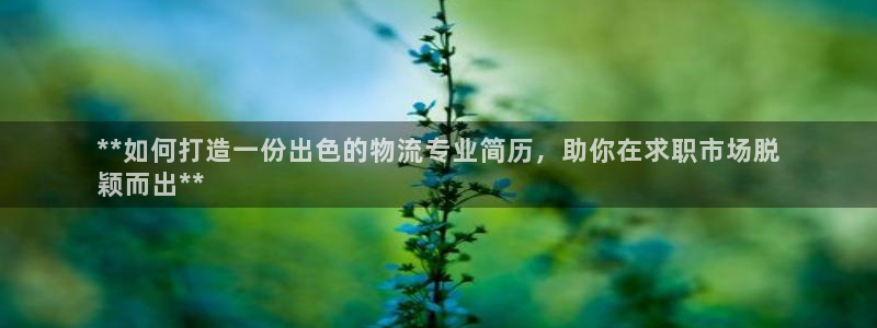 28圈官方网站：**如何打造一份出色