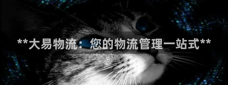 28圈下载二维码怎么弄：**大易物流