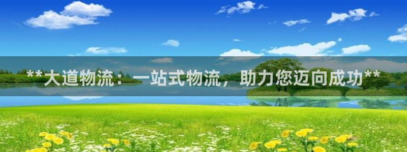 28圈pg麻将胡了：**大道物流：一