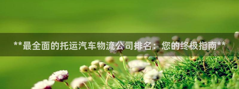 28圈娱乐官网网页入口：**最全面的