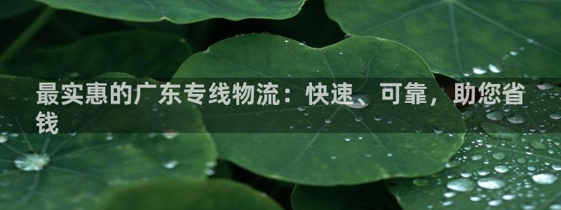 28圈.ccm官网：最实惠的广东专线